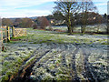 Looking across the fields