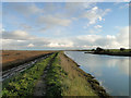 Wolsey Bridge, looking south-east