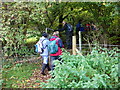 Walkers crossing footbridge near Cae-madog