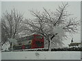 Afternoon snow, Tain