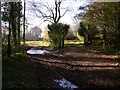 Private drive leads off bridleway south of South Harting