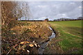 The river Caen descending from its source on Frog Moor