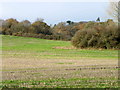 Stubble field near Huntingford