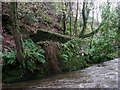 Ruined mill on Afon Gwaun