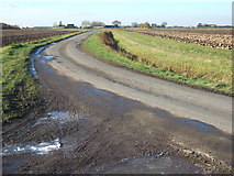 TF4121 : Muddy bend, Garnsgate Road, Long Sutton by Richard Humphrey