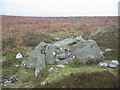 Siambr Gladdu Graig Fawr / Graig Fawr Burial Chamber