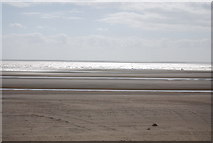TQ9518 : Camber Sands beach by N Chadwick