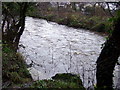 Former baptism pool, Mwsland