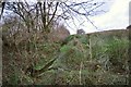 A stream leaving Frog Moor just prior to passing under the B3230