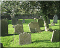 Headstones under a holly, St Mary