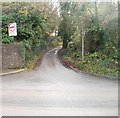 Lane north from Wenvoe Quarry