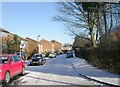 Delverne Grove - looking towards Moorside Road