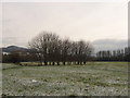 Castle Meadow, Abergavenny