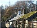 Roofs in Harbertonford