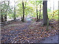 Footpath towards Stanford Brook