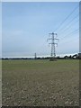 Pylons as seen from the footpath linking South and Cemetery Lanes