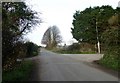 Mid section of Cemetery Lane