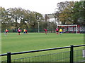 Little Testwood Farm, home of Totton and Eling FC