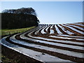 Strip farming near Howend