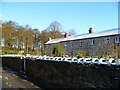 Cottages, Staindrop