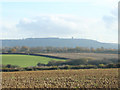 2010 : East of south over a field of maize stubble