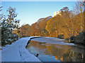 Canal near Bingley