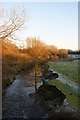 Sankey Brook from Penkford bridge