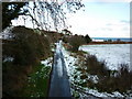 Hood Lane near Cloughton