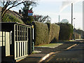 Townsend Lane, Long Lawford