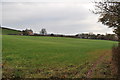 SY1198 : East Devon : Grassy Field & Footpath by Lewis Clarke
