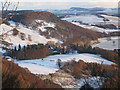 Kinfauns from Kinnoull Hill Tower