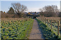 Footpath from North Town Moor to Summerleaze Road