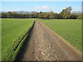 Entrance track to Park Farm