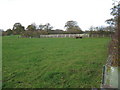 View NW across farmland near Newtown