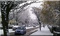 Carterknowle Road snow scene