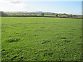 SO8948 : Grassland near Wadborough Hall Farm by Trevor Rickard