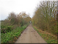 Track at Battram Wood