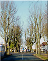 Roundabout on Goldthorn Park Estate, Wolverhampton