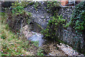 Stream at Hyde, Winchester, Hampshire