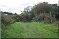 Sussex Border Path near Great Danegate