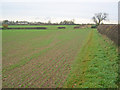 Footpath to Grange Lane