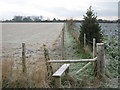 Footpath to Court Lane