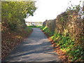 View NW along Chapel Lane near Carter