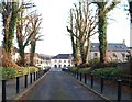 Castle Avenue from the gates of Castlewellan Castle