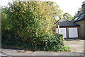 Footpath off Bobbin Hill