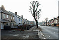 Dudley Wood Road, Dudley Wood