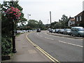 Flowers in Lime Kiln Quay Road