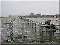 Footpath junction near Mill Lane