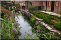 Winchester: watercourse off the Itchen