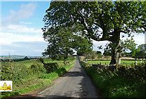 NU0304 : Country road near Cartington (1) by Stephen Richards